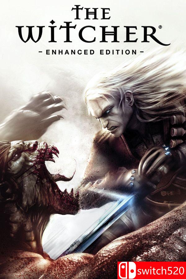 《巫师加强版（The Witcher: Enhanced Edition）》官方中文 v1.5 [繁体/英文]-蚂蚁汇资源分享项目网