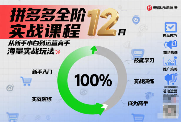 拼多多全阶实战课程12月，从新手小白到运营高手，海量实战玩法-蚂蚁汇资源分享项目网