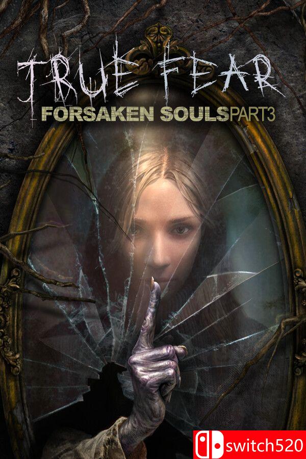 《真实恐惧：被遗弃的灵魂3（True Fear: Forsaken Souls P3）》v1.0.14 [中文/英文]-蚂蚁汇资源分享项目网