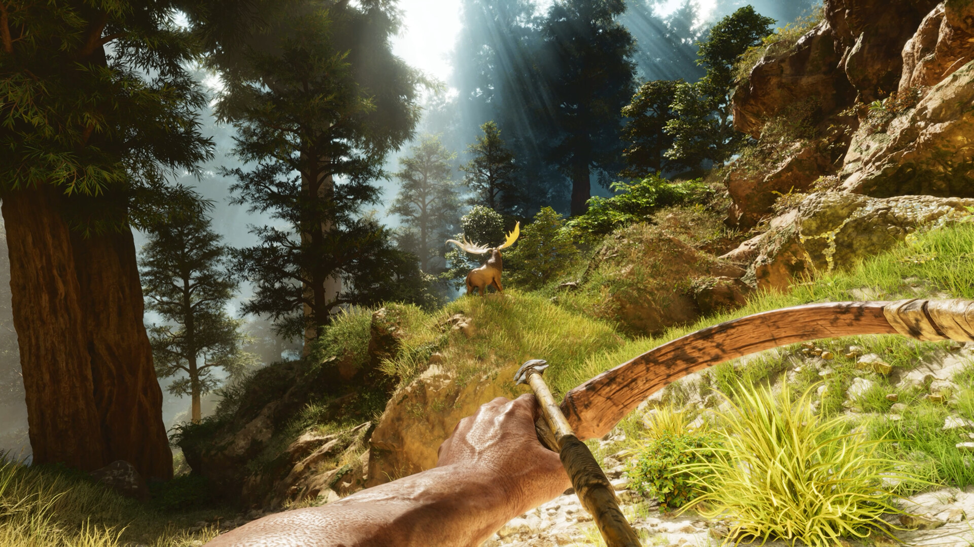 PC游戏《方舟: 生存飞升/ARK: Survival Ascended》中文v77.54下载-蚂蚁汇资源分享项目网