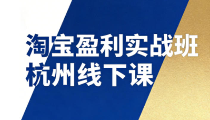 淘宝盈利实战班杭州线下课12月26-28日(音频+字幕)，帮你掌握SOP流程+12门核心技术-蚂蚁汇资源分享项目网