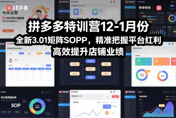 拼多多特训营12-1月份，全新3.01矩阵Sop，精准把握平台红利，高效提升店铺业绩-蚂蚁汇资源分享项目网