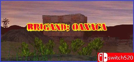 《盗团：瓦哈卡（Brigand: Oaxaca）》v17.6 [英文]-蚂蚁汇资源分享项目网