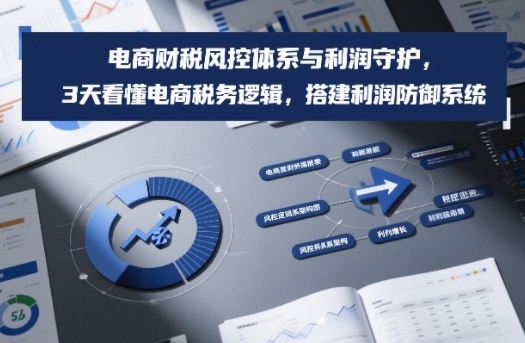 电商财税风控体系与利润守护，3天看懂电商税务逻辑，搭建利润防御系统-蚂蚁汇资源分享项目网