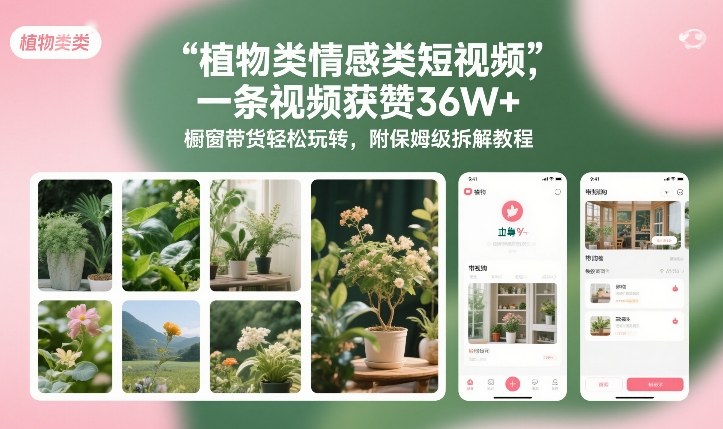 植物类情感类短视频，一条视频获赞36W+，橱窗带货轻松玩转，附保姆级拆解教程-蚂蚁汇资源分享项目网