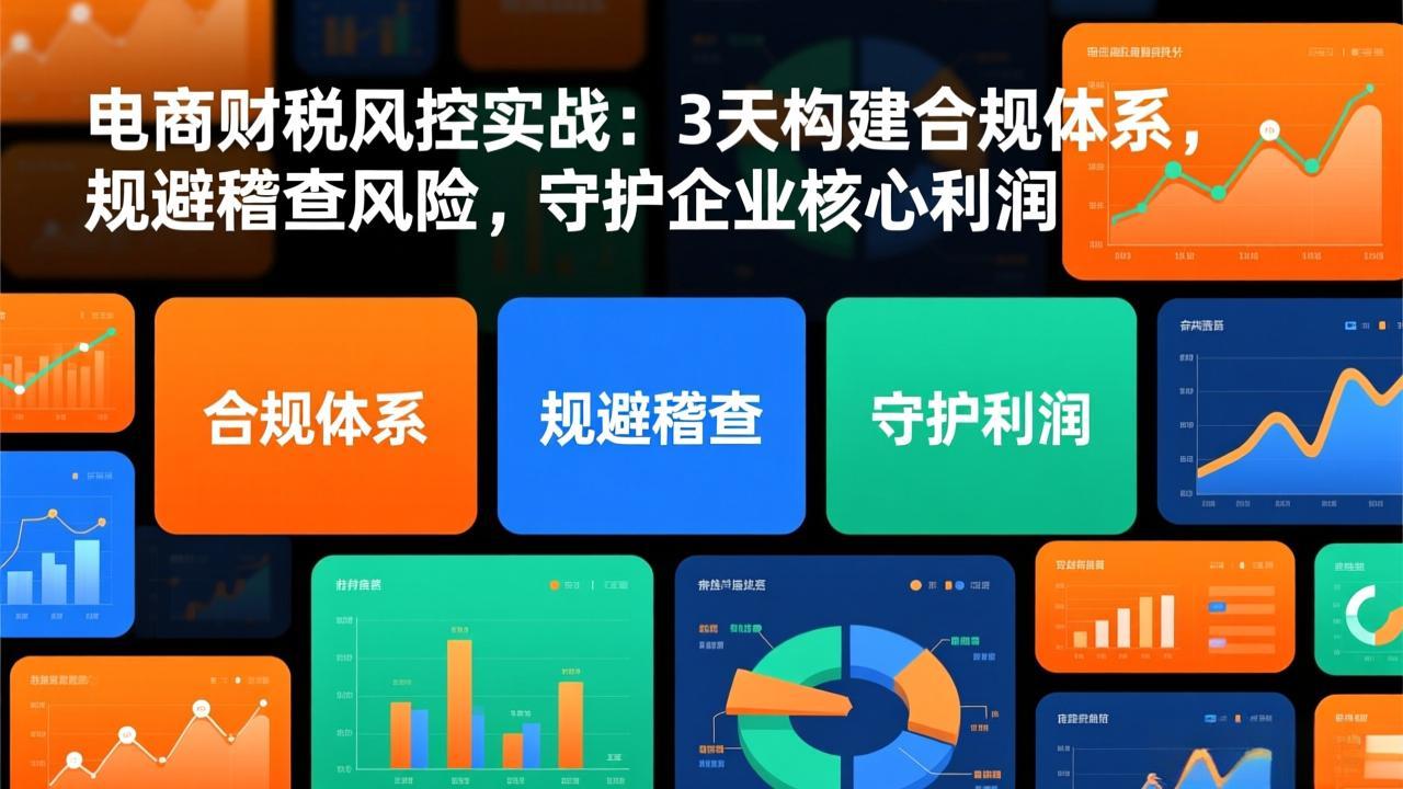 电商财税风控实战：3天构建合规体系，规避稽查风险，守护企业核心利润-蚂蚁汇资源分享项目网