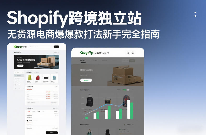 Shopify跨境独立站无货源电商爆款打法新手完全指南-蚂蚁汇资源分享项目网