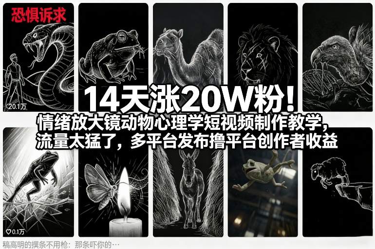 14天涨20W粉！情绪放大镜动物心理学短视频制作教学，流量太猛了，多平台发布撸平台创作者收益-蚂蚁汇资源分享项目网