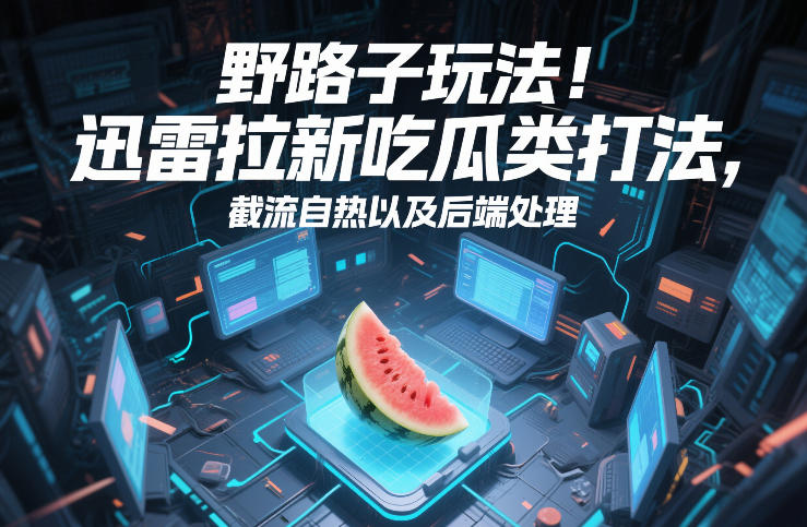 野路子玩法！迅雷拉新吃瓜类打法，截流自热以及后端处理-蚂蚁汇资源分享项目网
