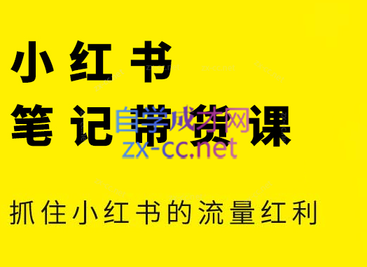 张宾·小红书笔记带货课(更新2026)-蚂蚁汇资源分享项目网