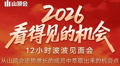 波波·2026看得见的机会12小时波波见面会(东莞线下课2月1日)-蚂蚁汇资源分享项目网