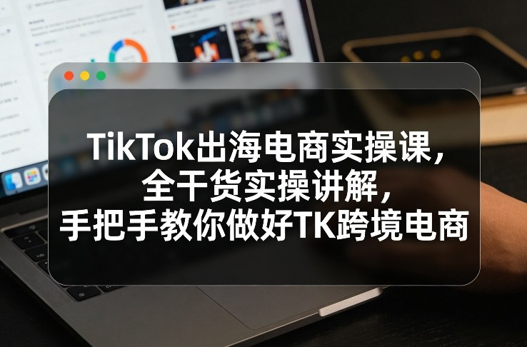 TikTok出海电商实操课，全干货实操讲解，手把手教你做好TK跨境电商-蚂蚁汇资源分享项目网