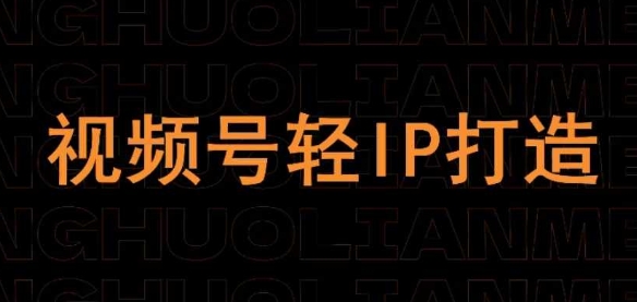 视频号线上课程，视频号轻IP打造-蚂蚁汇资源分享项目网