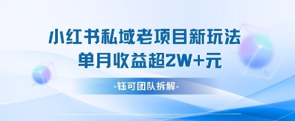 小红书私域项目新玩法,单月变现过W+-蚂蚁汇资源分享项目网