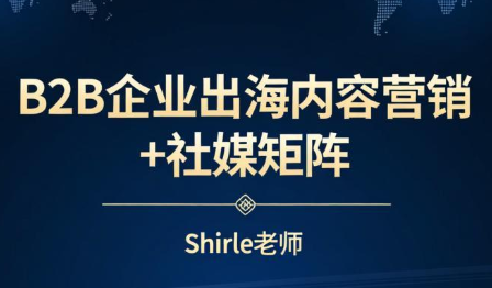 shirle老师·B2B企业出海内容营销+社媒矩阵-蚂蚁汇资源分享项目网