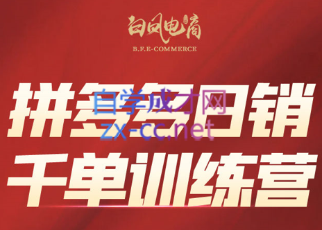 白凤电商·拼多多日销千单训练营(更新2月)-蚂蚁汇资源分享项目网