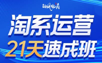 白凤电商·淘系运营21天速成班(更新2月)-蚂蚁汇资源分享项目网