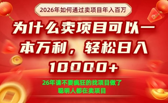 一单净利润1K+，26年想年入100个W，死磕卖项目就够了【揭秘】-蚂蚁汇资源分享项目网