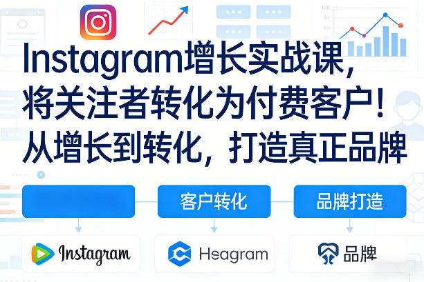 Instagram增长实战课，将关注者转化为付费客户！从增长到转化，打造真正品牌(双语字幕)-蚂蚁汇资源分享项目网