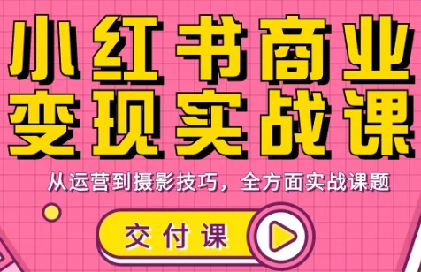饭饭老师·小红书商业变现实战课-蚂蚁汇资源分享项目网
