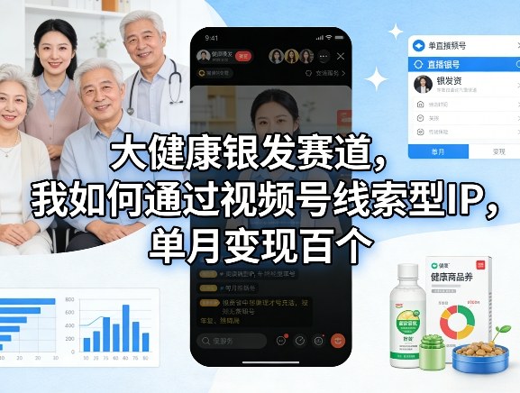 大健康银发赛道，我如何通过视频号线索型IP，单月变现百个-蚂蚁汇资源分享项目网
