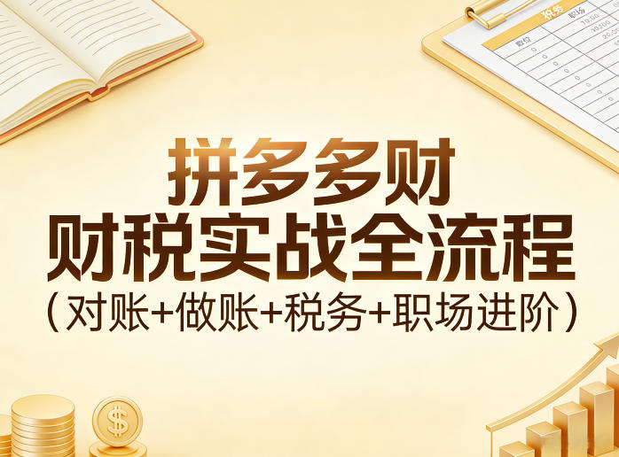 拼多多财税实战全流程(对账+做账+税务+职场进阶)-蚂蚁汇资源分享项目网