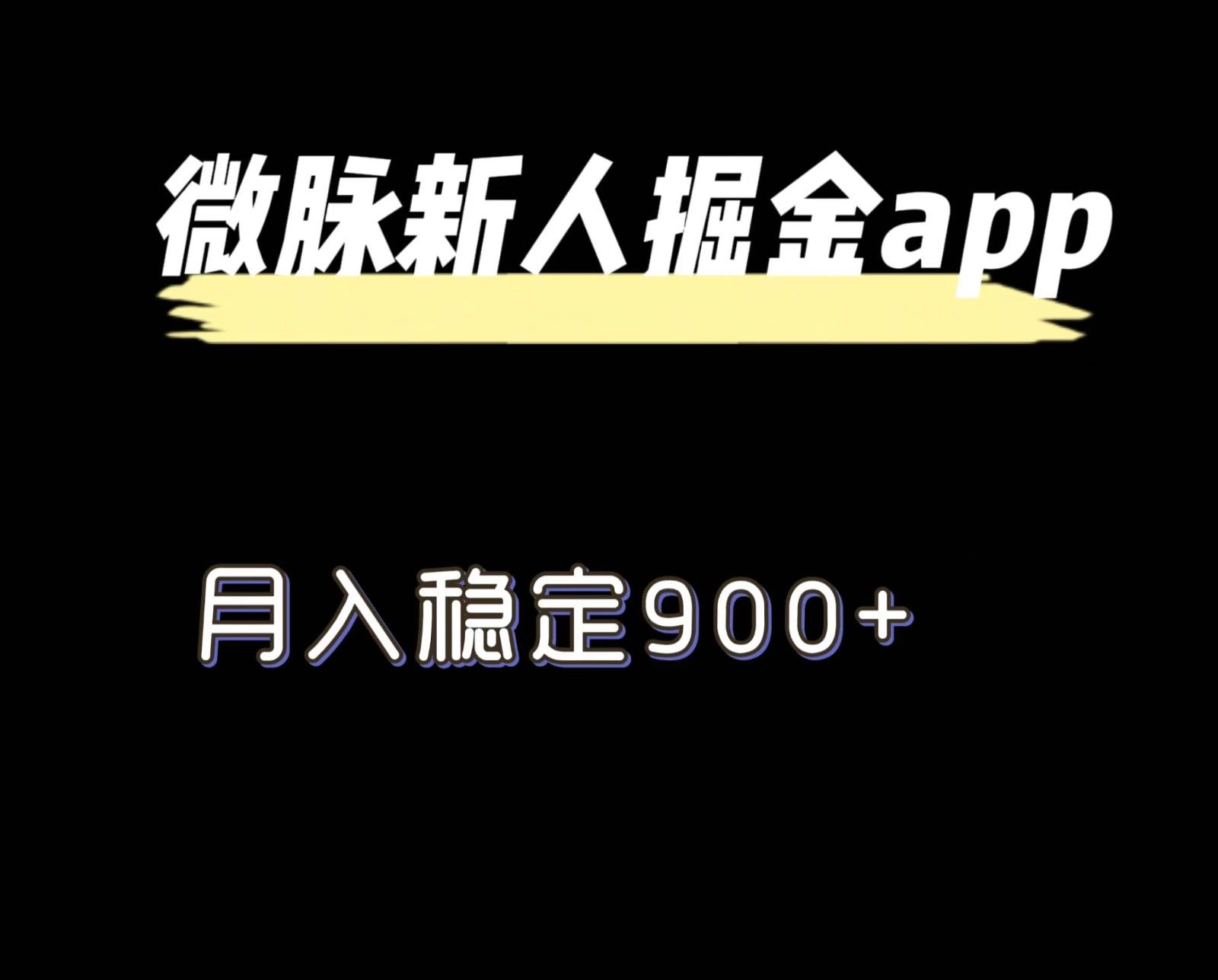 最新微脉长久项目，拉新掘金，月入稳定900+-蚂蚁汇资源分享项目网