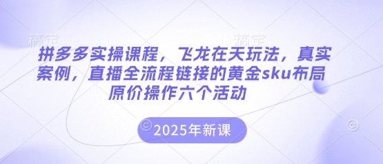 拼多多实操课程，飞龙在天玩法，真实案例，直播全流程链接的黄金sku布局原价操作六个活动-蚂蚁汇资源分享项目网