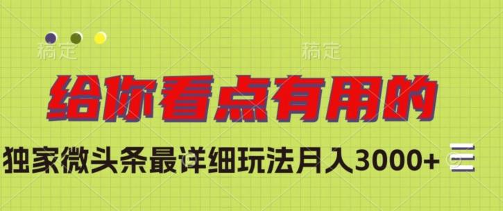 独家微头条最详细玩法，月入3000+【揭秘】-蚂蚁汇资源分享项目网