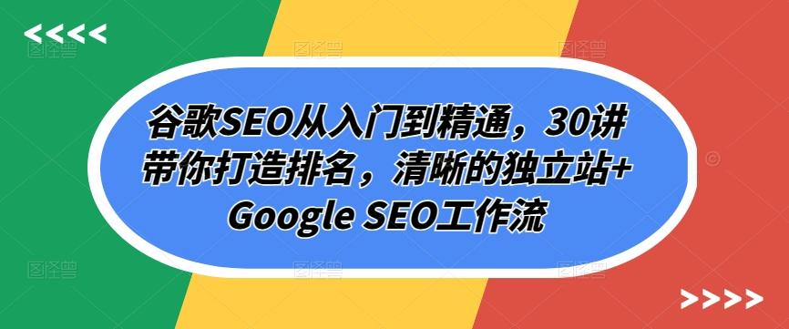 谷歌SEO从入门到精通，30讲带你打造排名，清晰的独立站+Google SEO工作流-蚂蚁汇资源分享项目网