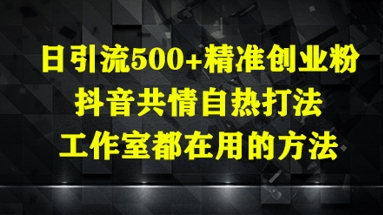 日引流500+精准创业粉，抖音共情自热打法，工作室都在用的方法-蚂蚁汇资源分享项目网