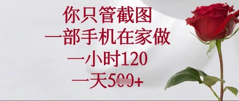 你只管截图，一部手机在家操作，一小时120.一天5张【揭秘】-蚂蚁汇资源分享项目网