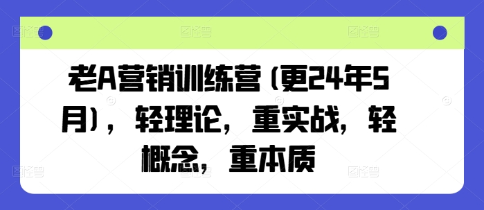 老A营销训练营(更24年12月)，轻理论，重实战，轻概念，重本质-蚂蚁汇资源分享项目网