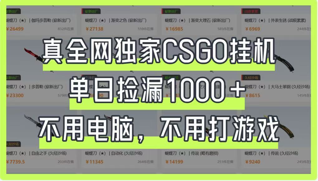 真全网独家CSGO挂机，单日捡漏1000+，不用电脑，不用养号-蚂蚁汇资源分享项目网