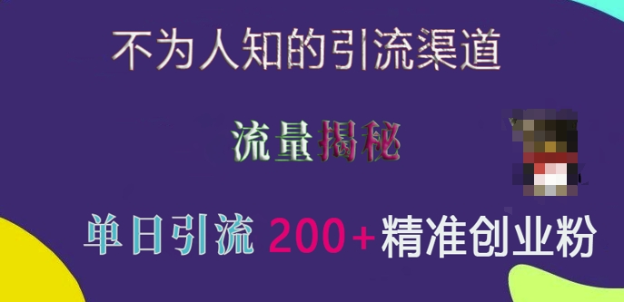 不为人知的引流渠道，流量揭秘，实测单日引流200+精准创业粉【揭秘】-蚂蚁汇资源分享项目网