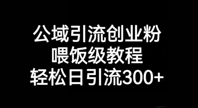 公域引流创业粉，喂饭级教程，轻松日引流300+【揭秘】-蚂蚁汇资源分享项目网