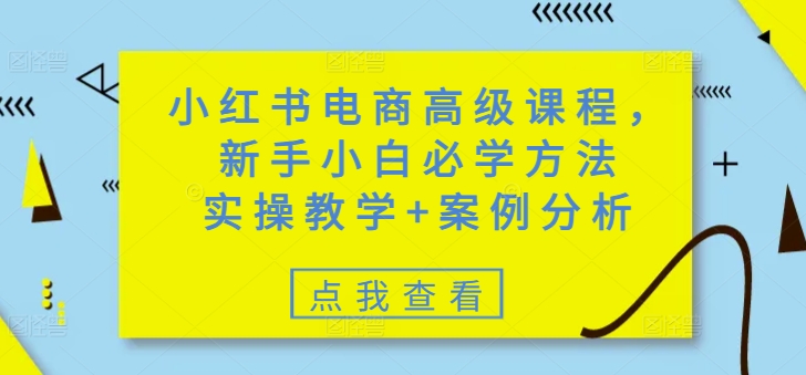 小红书电商高级课程，新手小白必学方法，实操教学+案例分析-蚂蚁汇资源分享项目网
