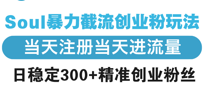 Soul暴力截流创业粉玩法，当天注册当天进流量，日稳定300+精准创业粉丝-蚂蚁汇资源分享项目网