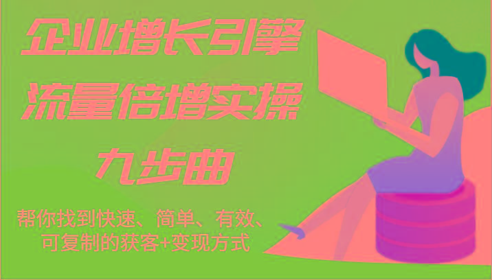企业增长引擎流量倍增实操九步曲，帮你找到快速、简单、有效、可复制的获客+变现方式-蚂蚁汇资源分享项目网