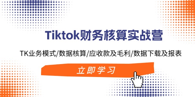 Tiktok财务核算实战营：TK业务模式/数据核算/应收款及毛利/数据下载及报表-蚂蚁汇资源分享项目网