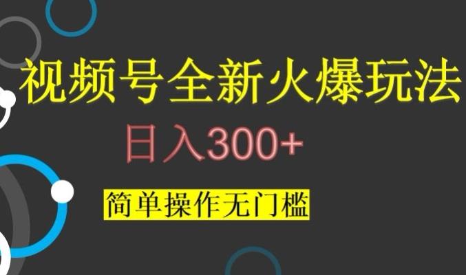 视频号最新爆火玩法，日入300+，简单操作无门槛【揭秘】-蚂蚁汇资源分享项目网