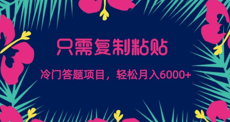 只需复制粘贴，冷门答题项目，轻松月入6000-蚂蚁汇资源分享项目网