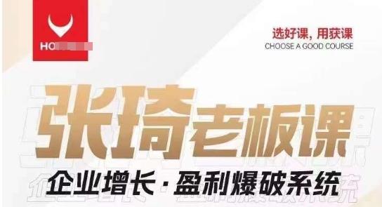 【组合课】张琦张琦老板企业增长·盈利爆破系统（直播专享）-蚂蚁汇资源分享项目网