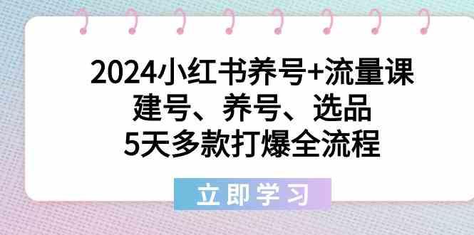 2024小红书养号+流量课：建号、养号、选品，5天多款打爆全流程-蚂蚁汇资源分享项目网