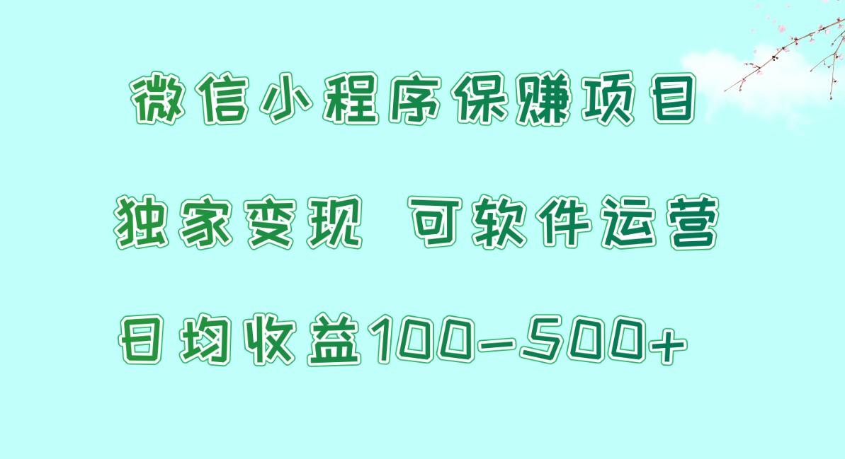 微信小程序保赚项目，日均收益100~500+，独家变现，可软件运营-蚂蚁汇资源分享项目网