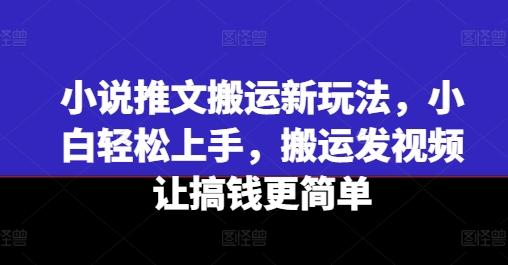小说推文搬运新玩法，小白轻松上手，搬运发视频让搞钱更简单-蚂蚁汇资源分享项目网