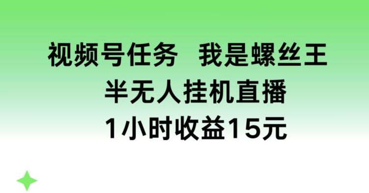 视频号任务，我是螺丝王， 半无人挂机1小时收益15元【揭秘】-蚂蚁汇资源分享项目网