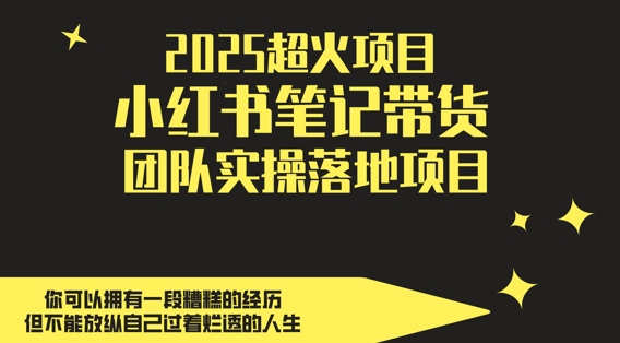 2025超火项目，副业最佳选择，小红书笔记带货团队实操落地项目，，轻松日入5张-蚂蚁汇资源分享项目网