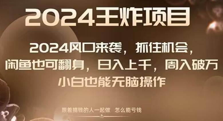 2024风口项目来袭，抓住机会，闲鱼也可翻身，日入上千，周入破万，小白也能无脑操作-蚂蚁汇资源分享项目网