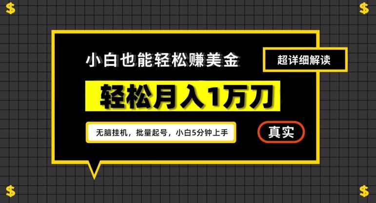 谷歌看广告撸美金2.0，无脑挂机，多号操作，月入1万刀【揭秘】-蚂蚁汇资源分享项目网